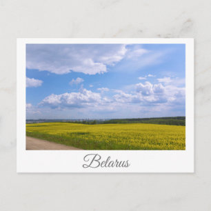 Cartão Postal Paisagem Natural Canola Field Rural Belarus Grodno