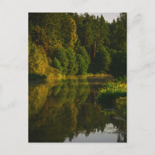 Cartão Postal Paisagem Natural Lago de Cenário Árvores do Cana
