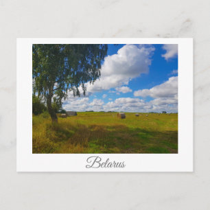 Cartão Postal Paisagem Natural Paisagem Árvore Birch da Bielorrú