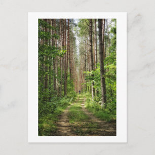 Cartão Postal Paisagem Natureza Paisagem Floresta Ciclismo Bielo