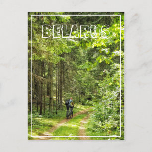 Cartão Postal Paisagem Natureza Paisagem Floresta Ciclismo Bielo