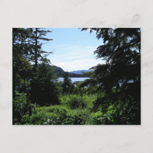 Cartão Postal Paisagem no Alaska Belo Alaska Fotografia