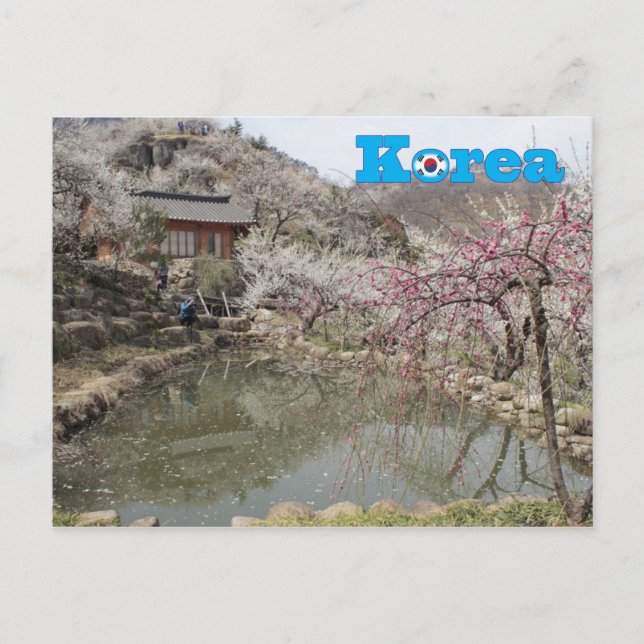 Cartão Postal Paisagem Primavera da Coreia (Frente)