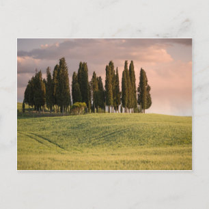 Cartão Postal Paisagem Toscana ao Pôr do Sol