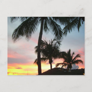 Cartão Postal Paisagem Tropical de Palms Sunset Fotografia