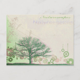 Cartão Postal paisagens naturais