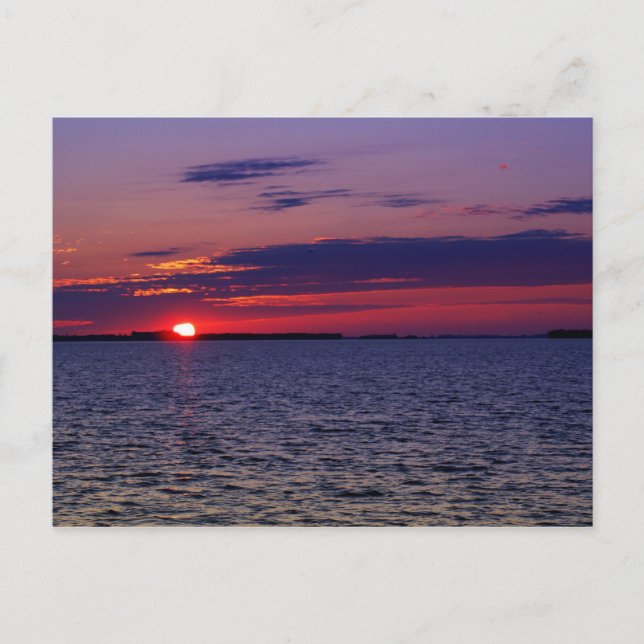 Cartão Postal Paixão Roxo (Frente)