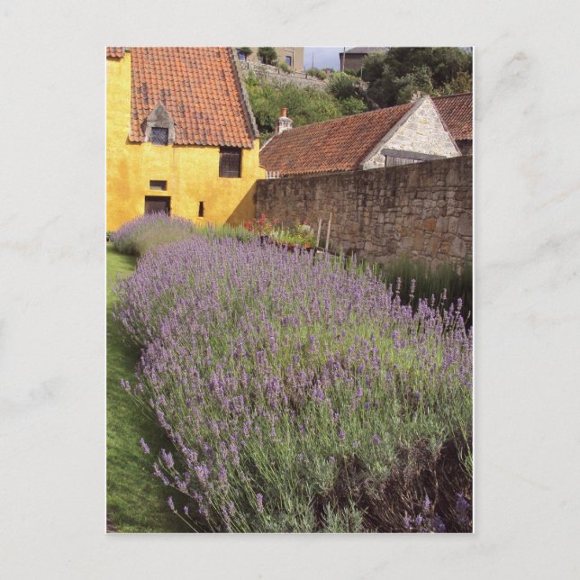 Cartão Postal Palácio Culross - Jardim Frontal (Frente)