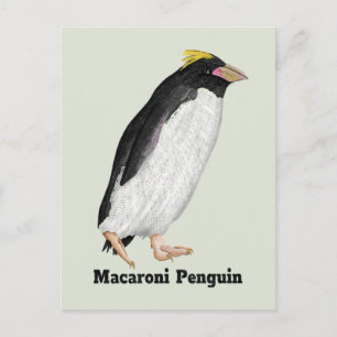 Cartão Postal Palaeeudyptes Pinguim Extinto