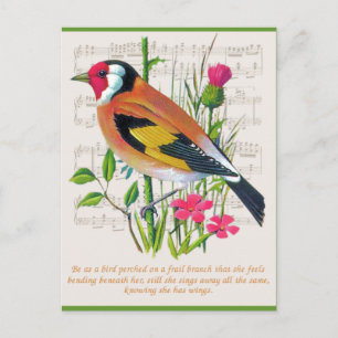 Cartão Postal Palavras de encorajamento