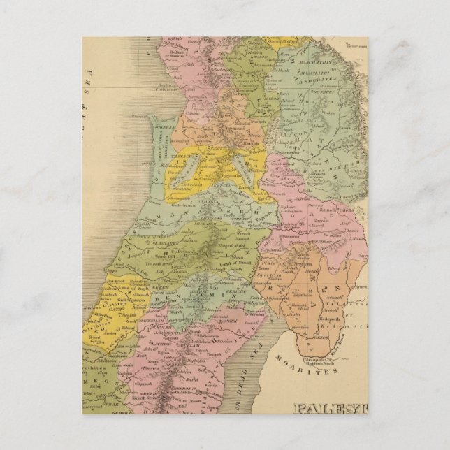 Cartão Postal Palestina 3 (Frente)