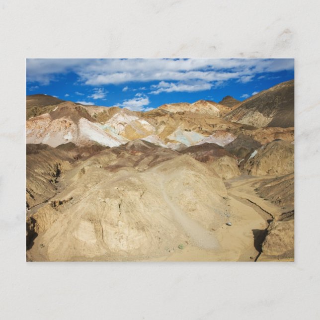 Cartão Postal Paleta de Artista (Frente)