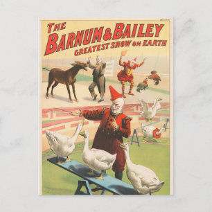 Cartão Postal Palhaços Com Geese, Roosters E Donkey.