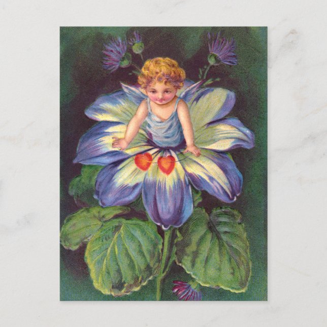 Cartão Postal Palheta: Aster de Cherub da Flor (Frente)