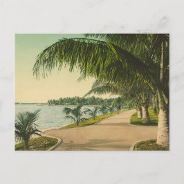 Cartão Postal Palm Beach, 1898, cena da Flórida
