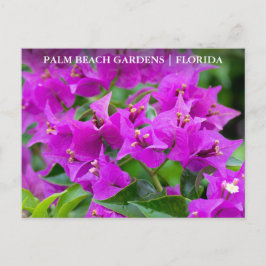 Cartão Postal Palm Beach Gardens Floral Viagem