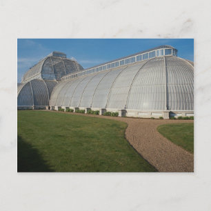 Cartão Postal Palm House, Kew Gardens, Londres, Inglaterra, Rein