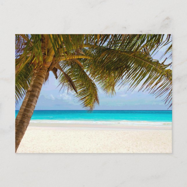 Cartão Postal Palm Paradise Blue Sky Sunshine (Frente)