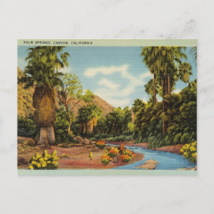Cartão Postal Palm Primavera Canyon, Califórnia