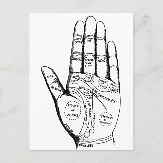 Cartão Postal Palm Reading Chart Palmistry fortunler teller no f (Frente)