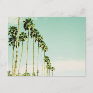 Cartão Postal Palm Springs