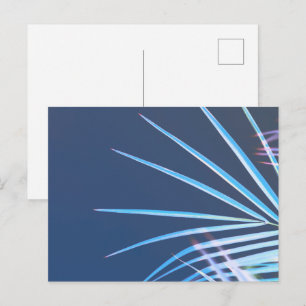 Cartão Postal Palm Tree deixa um esboço de minimalismo