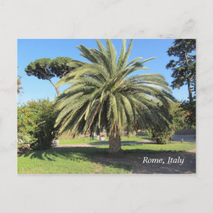 Cartão Postal Palm Tree in Roma, Itália