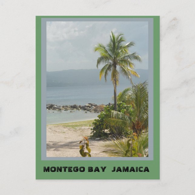 Cartão Postal Palm Tree, Montego Bay Jamaica  (Frente)
