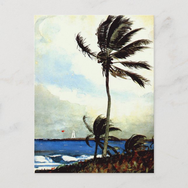 Cartão Postal Palm Tree-Nassau (Frente)