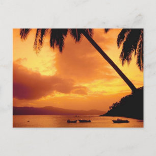 Cartão Postal Palm Tree sobre a Água