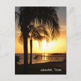Cartão Postal Palm Tree Sunset
