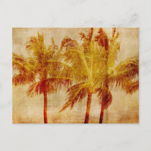 Cartão Postal Palm Tree Vintage