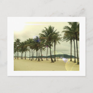 Cartão postal Palm Trees Beach
