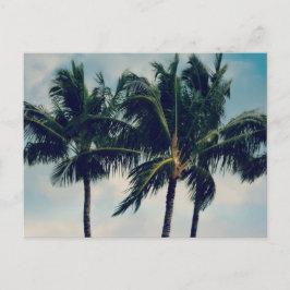 Cartão Postal Palm Trees do Havaí