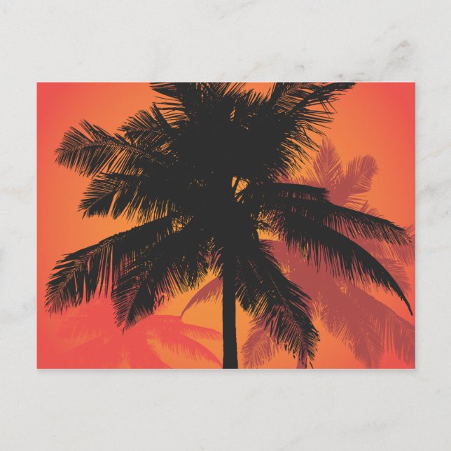 Cartão Postal Palm Trees Silhuettes Sunset (Frente)