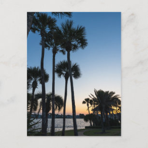 Cartão postal Palm Trees Sunrise Destin Florida