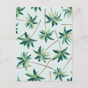 Cartão Postal Palm Tropical Austral Foxtail