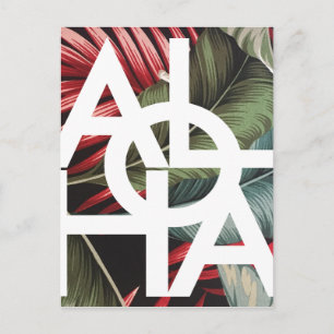 Cartão Postal Palma Vermelha Quadrado Branco Aloha