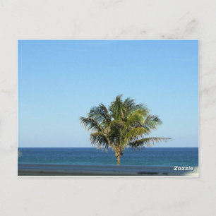 Cartão Postal Palmeira com vista para o Oceano