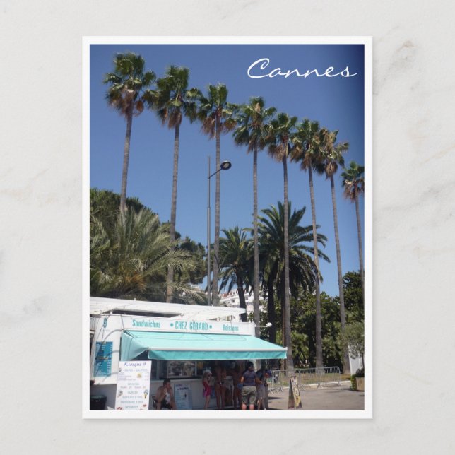 Cartão Postal palmeira de cannes (Frente)