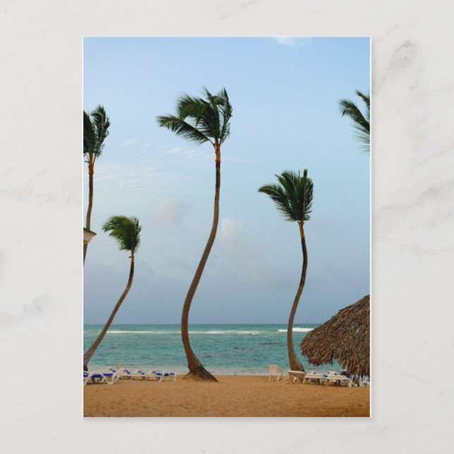 Cartão Postal Palmeira de Praia (Frente)
