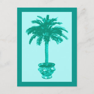 Cartão Postal Palmeira em vaso, Turquesa e Aqua