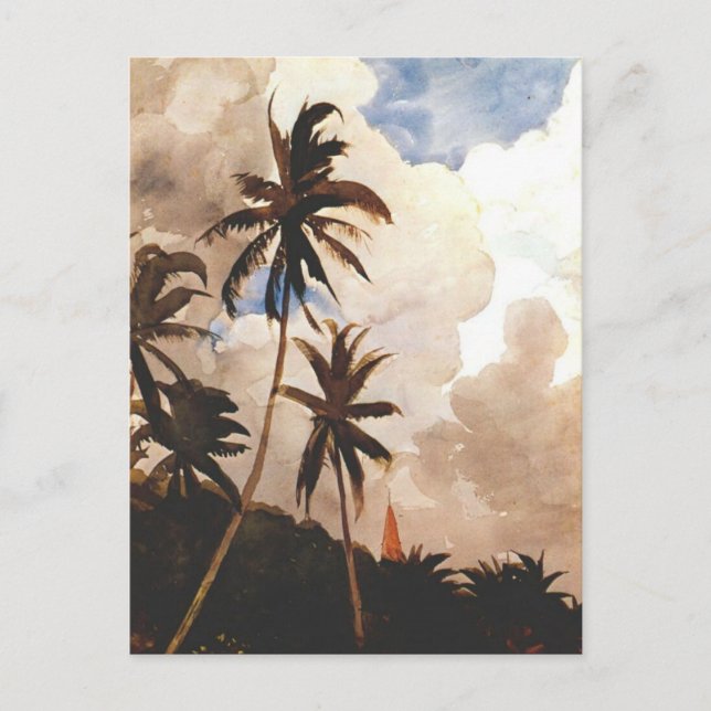 Cartão Postal Palmeiras, Bahamas (Frente)