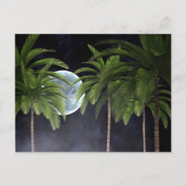 Cartão Postal Palmeiras Contra a Lua