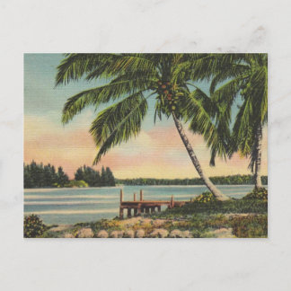 Cartão Postal Palmeiras de Coco Vintage Brisa Tropical Pôr do So
