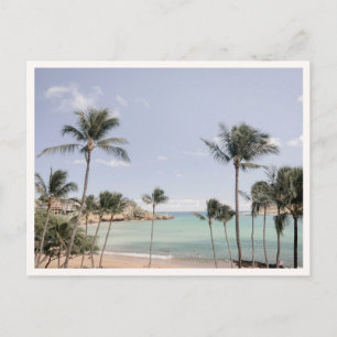 Cartão Postal Palmeiras de Lihue Kauai Havaí Foto Saudação