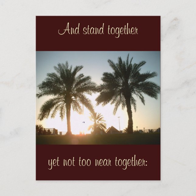 Cartão Postal Palmeiras em Doha (Frente)