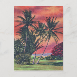 Cartão Postal Palmeiras na ilha do Havaí, pôster de viagem vinta