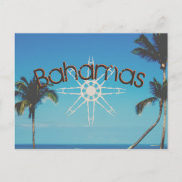 Cartão Postal Palmeiras Perto Do Oceano