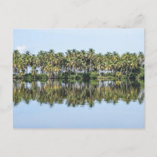 Cartão Postal Palmeiras Refletidas